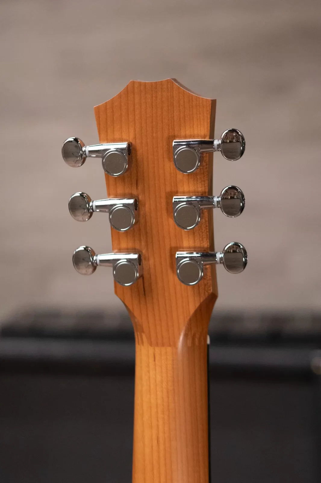 Taylor BT1 Baby Taylor Acoustic Guitar with Gig Bag