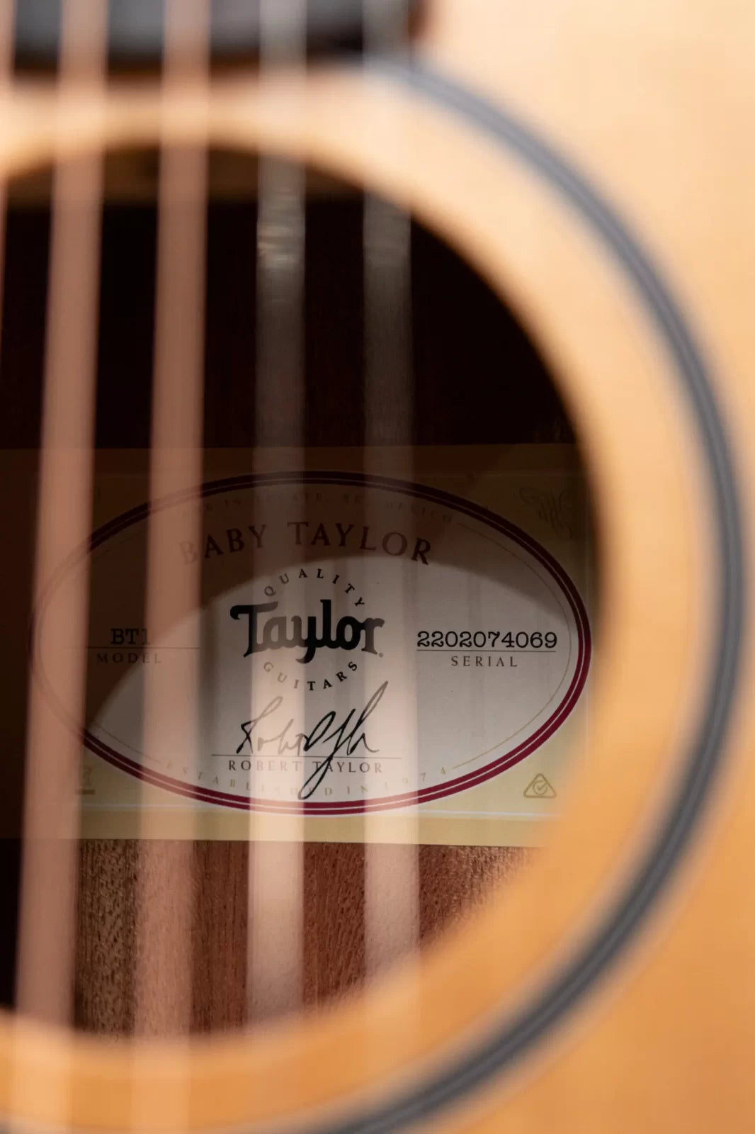 Taylor BT1 Baby Taylor Acoustic Guitar with Gig Bag