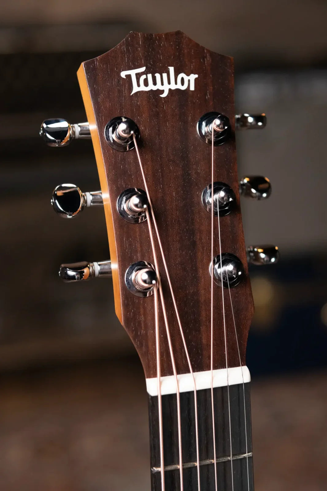 Taylor BT1 Baby Taylor Acoustic Guitar with Gig Bag
