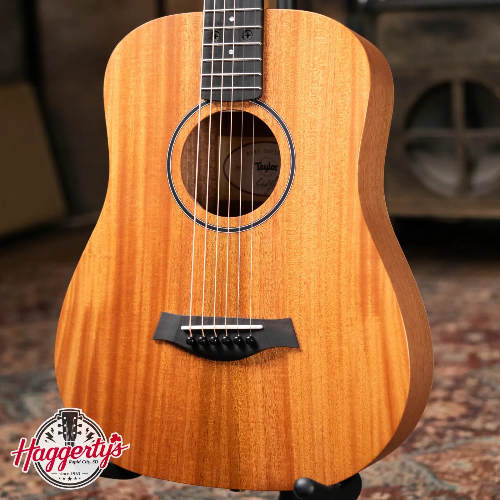 Taylor BT2 Mahogany Acoustic Guitar with Gig Bag