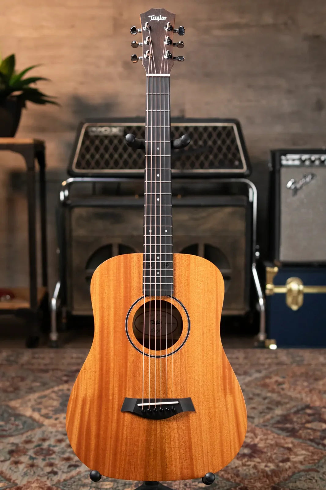 Taylor BT2 Mahogany Acoustic Guitar with Gig Bag