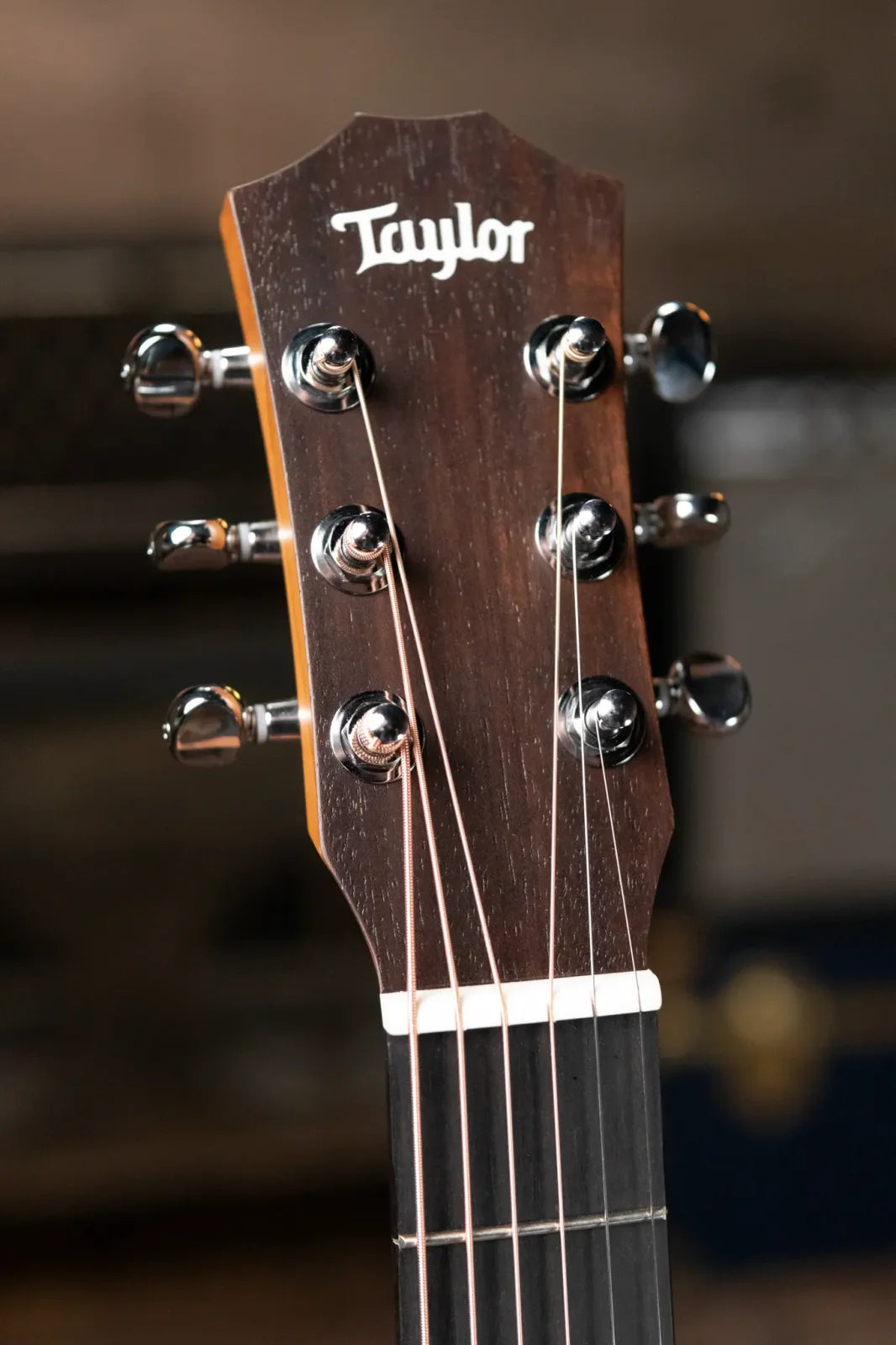 Taylor BT2 Mahogany Acoustic Guitar with Gig Bag