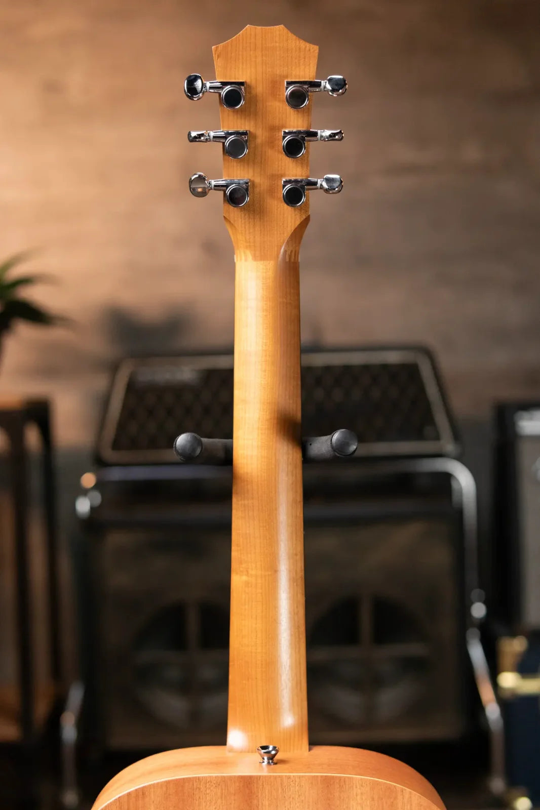 Taylor BT2 Mahogany Acoustic Guitar with Gig Bag
