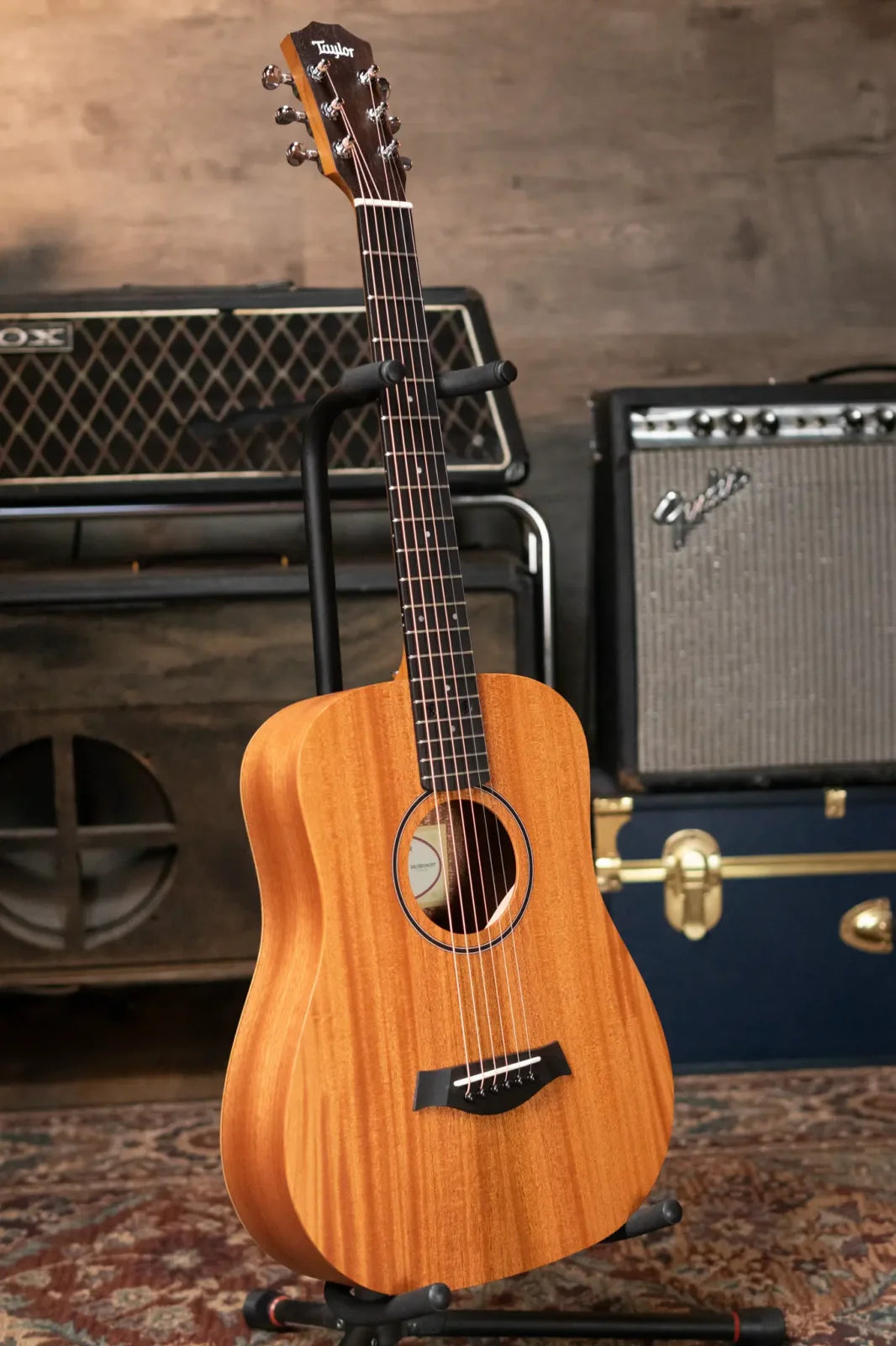 Taylor BT2 Mahogany Acoustic Guitar with Gig Bag