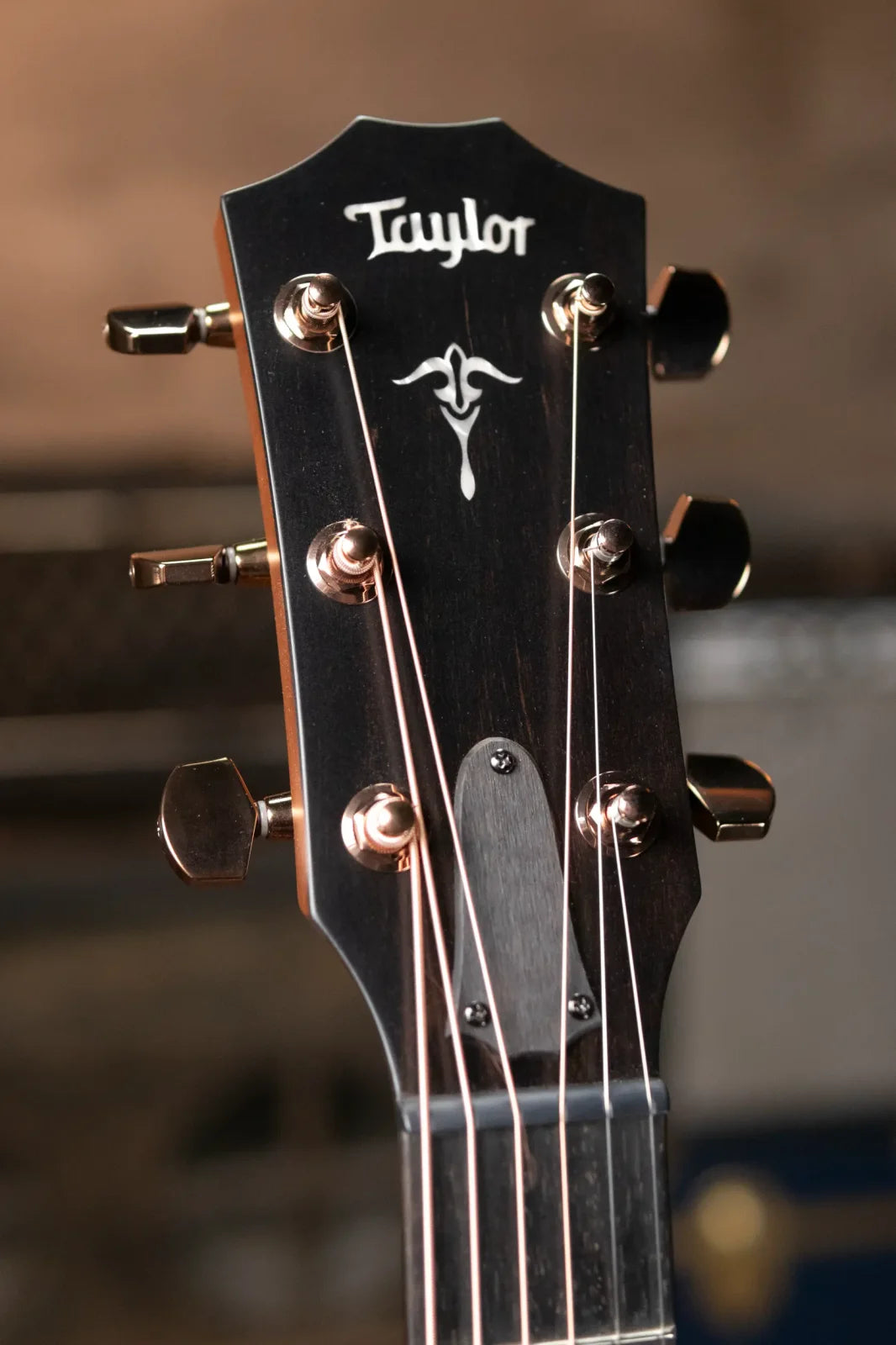 Taylor Builder's Edition 517e Grand Pacific Acoustic/Electric with Hardshell Case - Factory Demo
