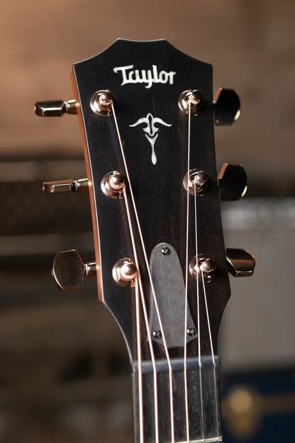 Taylor Builder's Edition 517e Grand Pacific Acoustic/Electric with Hardshell Case - Factory Demo