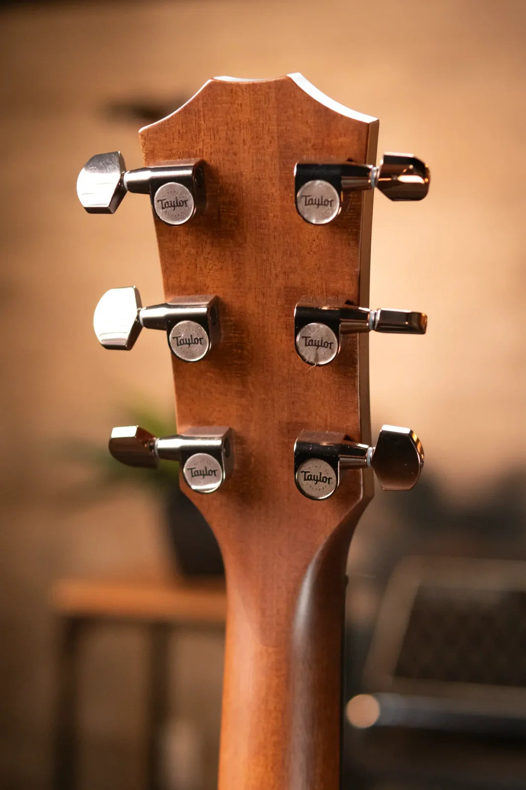 Taylor Builder's Edition 517e Grand Pacific Acoustic/Electric with Hardshell Case - Factory Demo