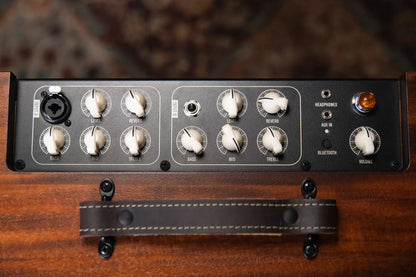 Taylor Circa 74, 2-Channel Acoustic/Vocal Amplifier with Mahogany Amp Stand