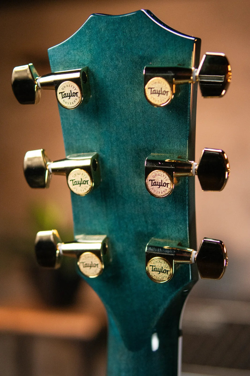 Taylor Custom Shop 614ce Grand Auditorium Acoustic/Electric - Koi Blue with Hardshell Case
