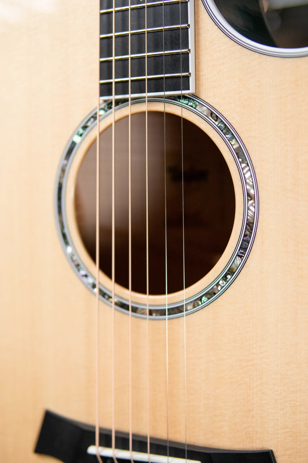 Taylor Custom Shop 614ce Grand Auditorium Acoustic/Electric - Koi Blue with Hardshell Case