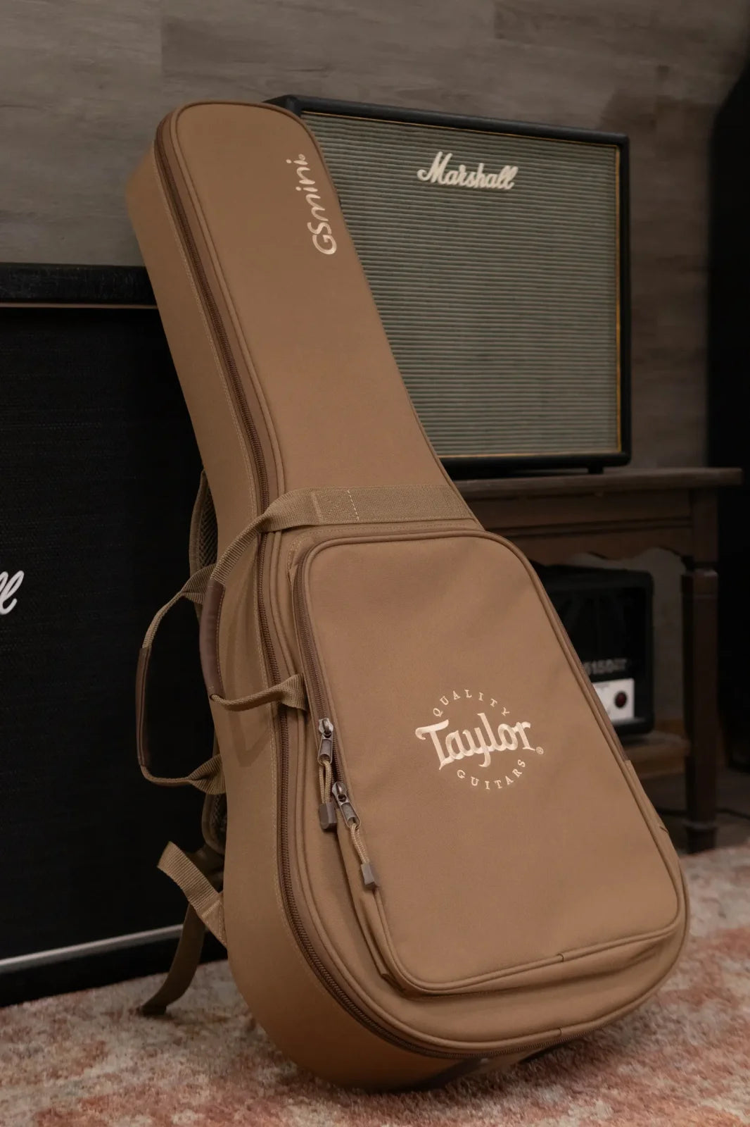 Taylor GS Mini-e Mahogany Acoustic/Electric Guitar with GS Mini Bag