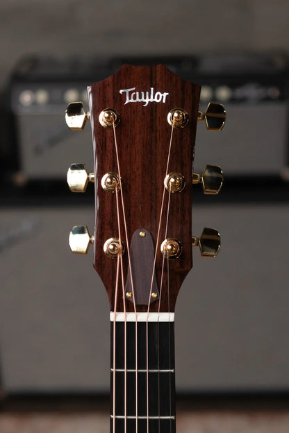 Taylor Legacy 514ce Grand Auditorium Acoustic/Electric with Hardshell Case - Factory Demo