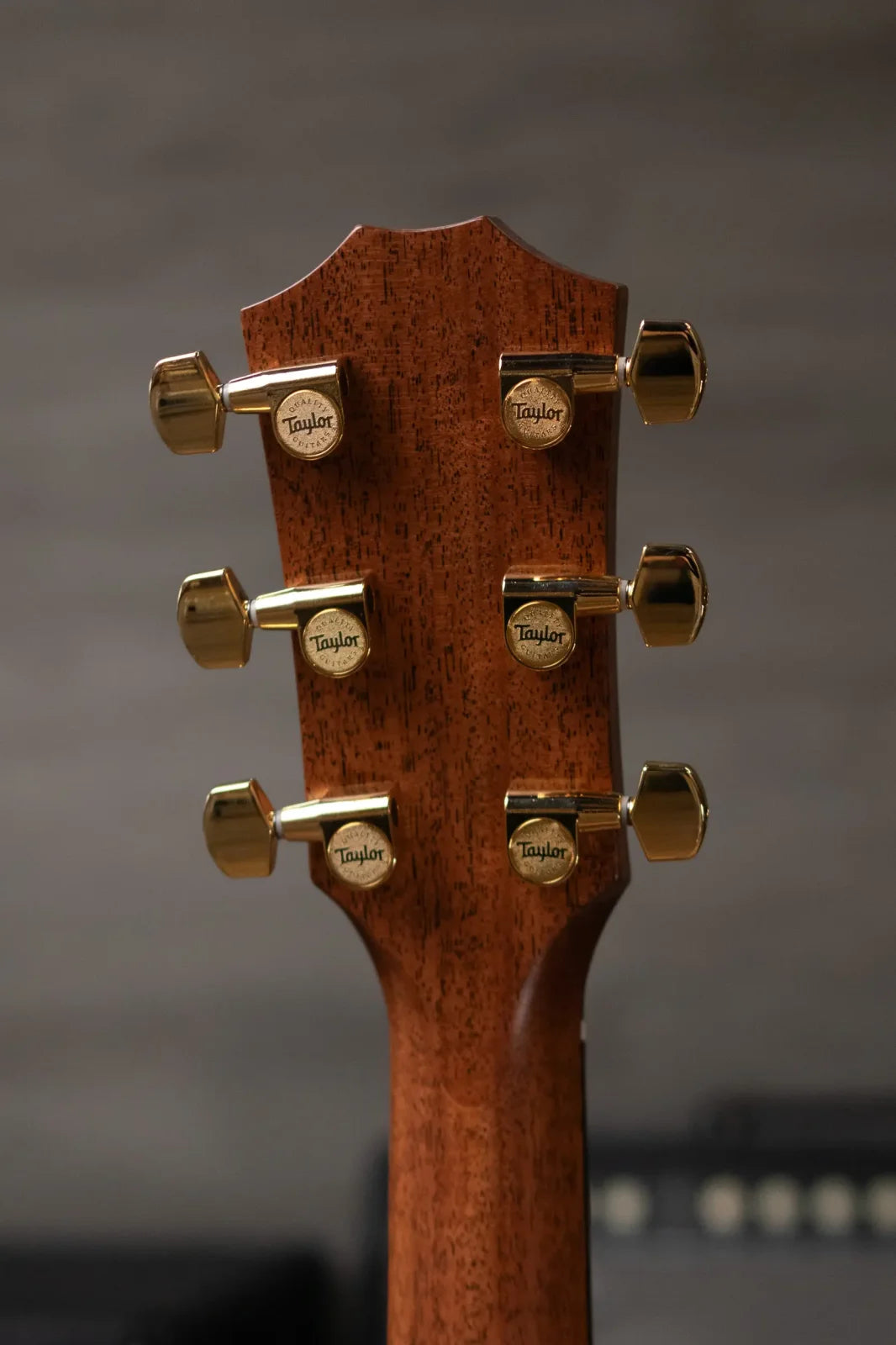 Taylor Legacy 514ce Grand Auditorium Acoustic/Electric with Hardshell Case - Factory Demo