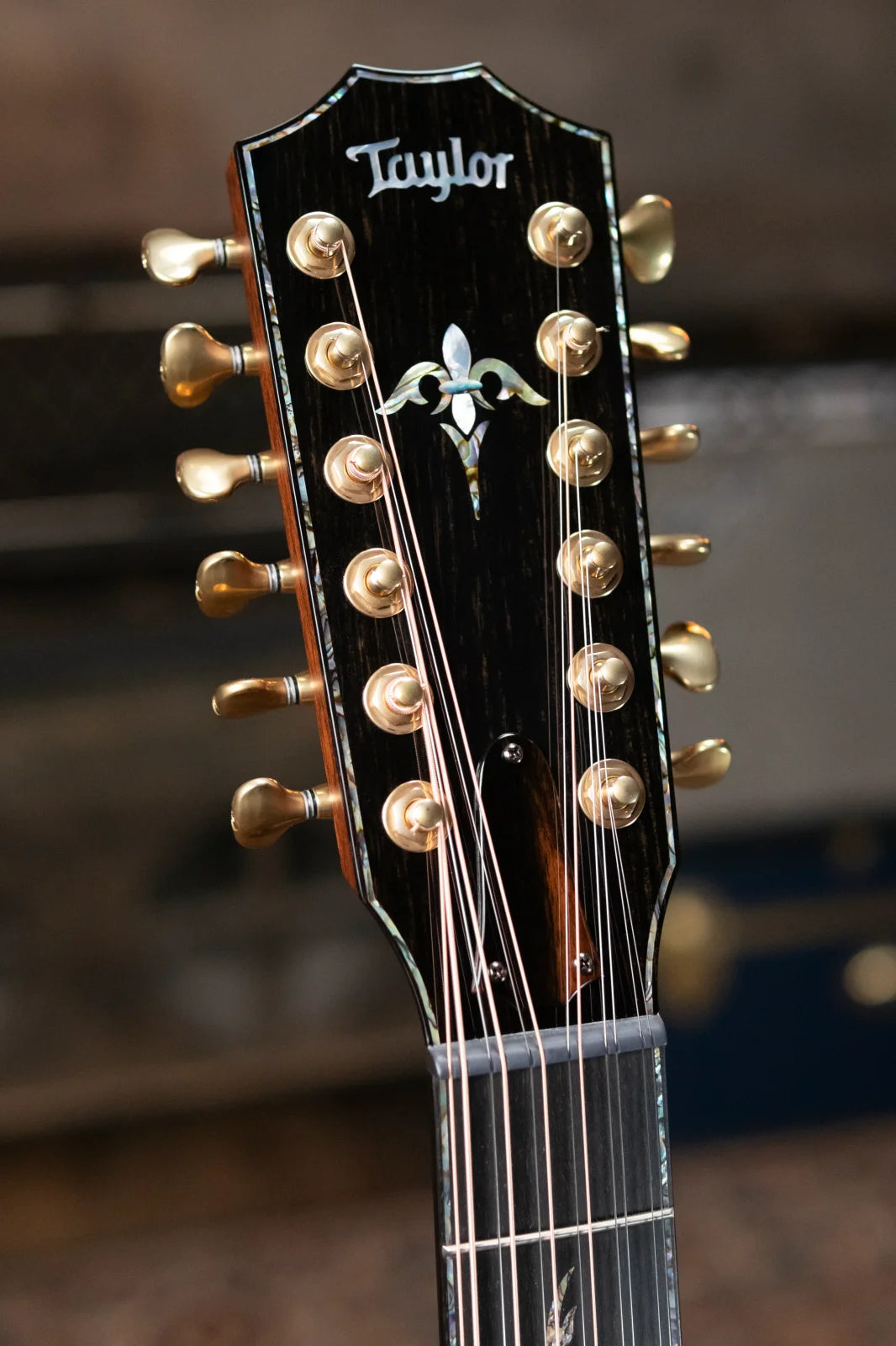 Taylor PS52ce Presentation Series 12-String Grand Concert Acoustic/Electric with Hardshell Case
