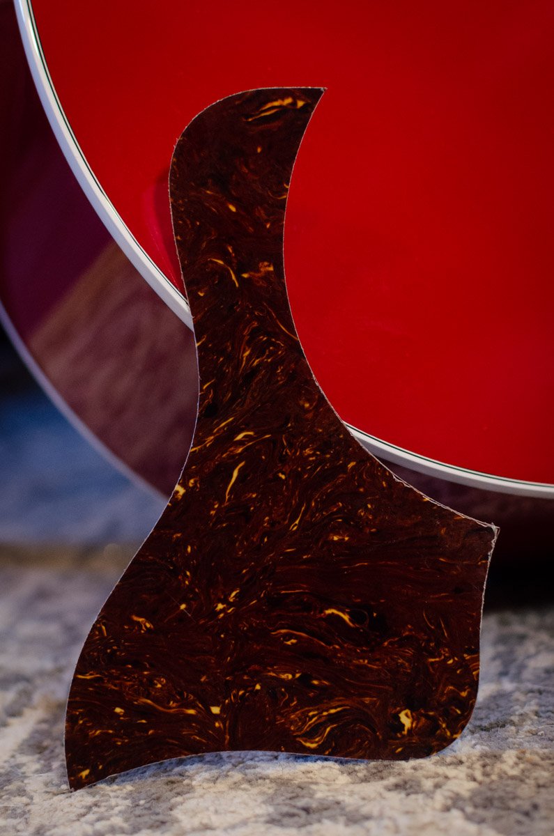 Taylor Pickguard Left Handed GA/GS 5.5" Tortoise