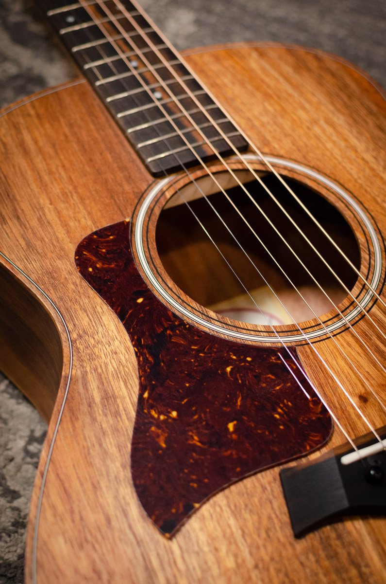 Taylor Pickguard, Left-Handed GS Mini- Tortoise