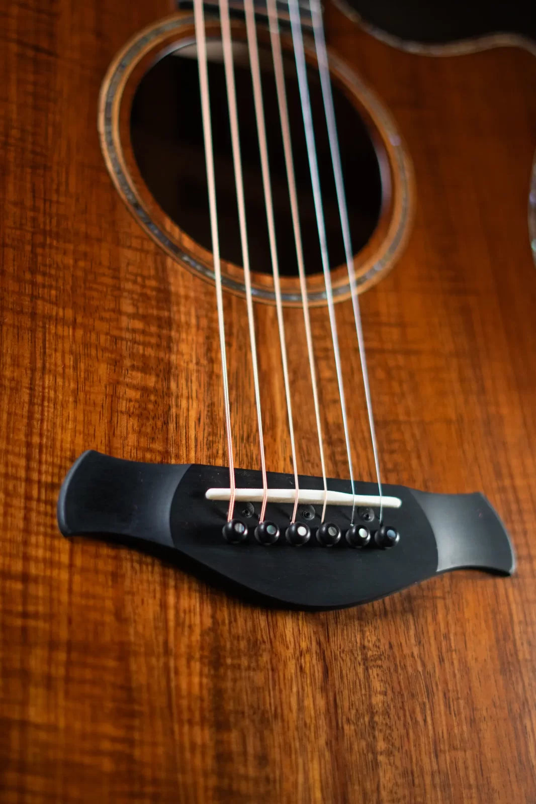 Taylor Builder's Edition K24ce Grand Auditorium Acoustic/Electric Guitar with Deluxe Hardshell Case