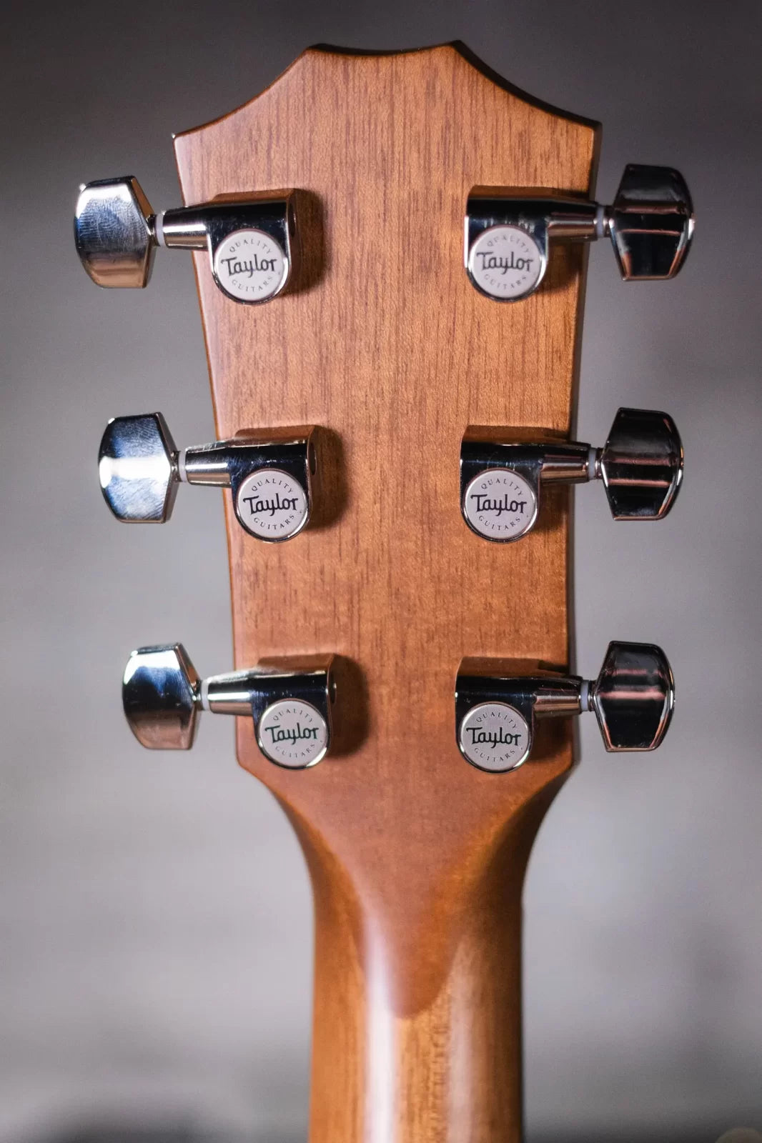 Taylor 517e Grand Pacific Acoustic/Electric Guitar - Tobacco Sunburst with Deluxe Hardshell - Floor Model