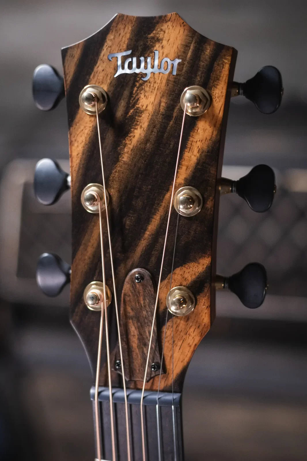 Taylor ‘23 Catch Custom C14ce #6 Grand Auditorium Acoustic/Electric with Hardshell Case