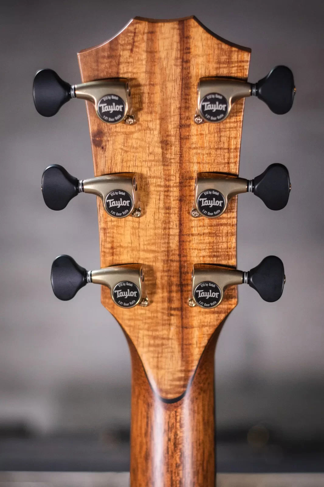 Taylor ‘23 Catch Custom C14ce #6 Grand Auditorium Acoustic/Electric with Hardshell Case