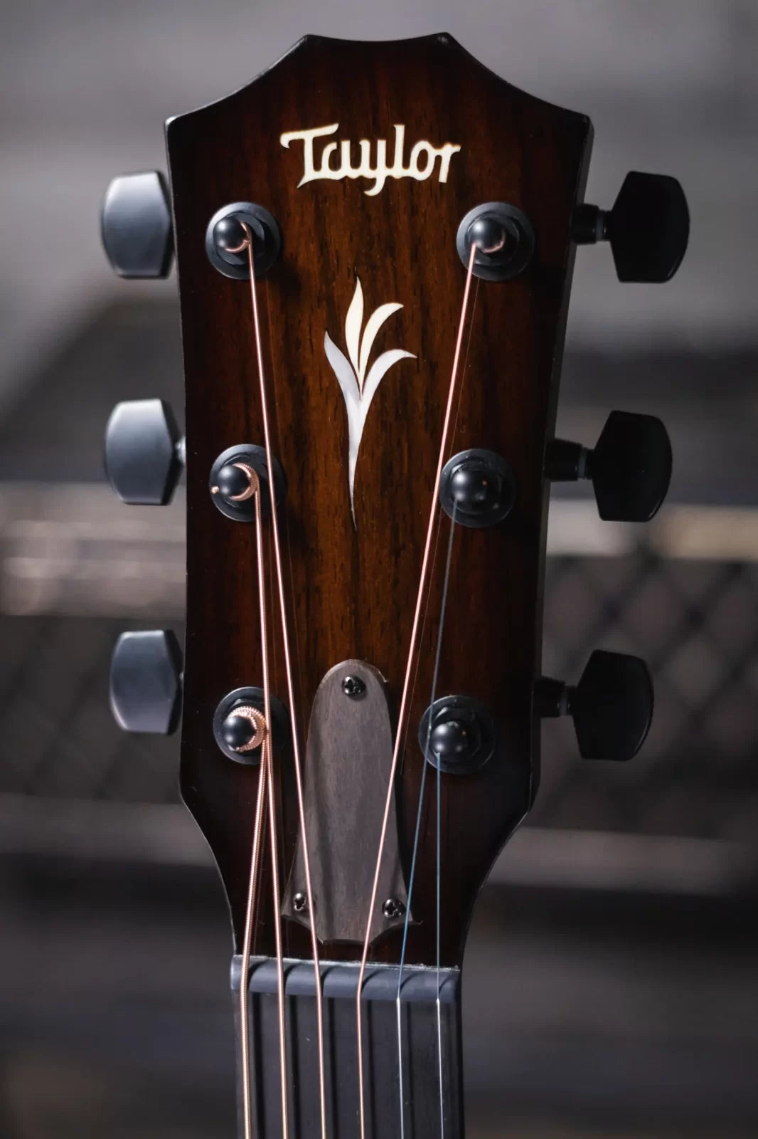 Taylor ‘23 Catch Custom C22e #25 Grand Concert Acoustic/Electric Guitar & Circa 74 Amplifier Combo