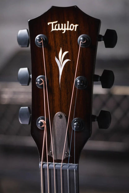 Taylor ‘23 Catch Custom C22e #25 Grand Concert Acoustic/Electric Guitar & Circa 74 Amplifier Combo