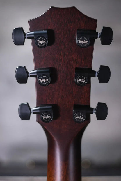 taylor custom c22e 25 haggertys 07