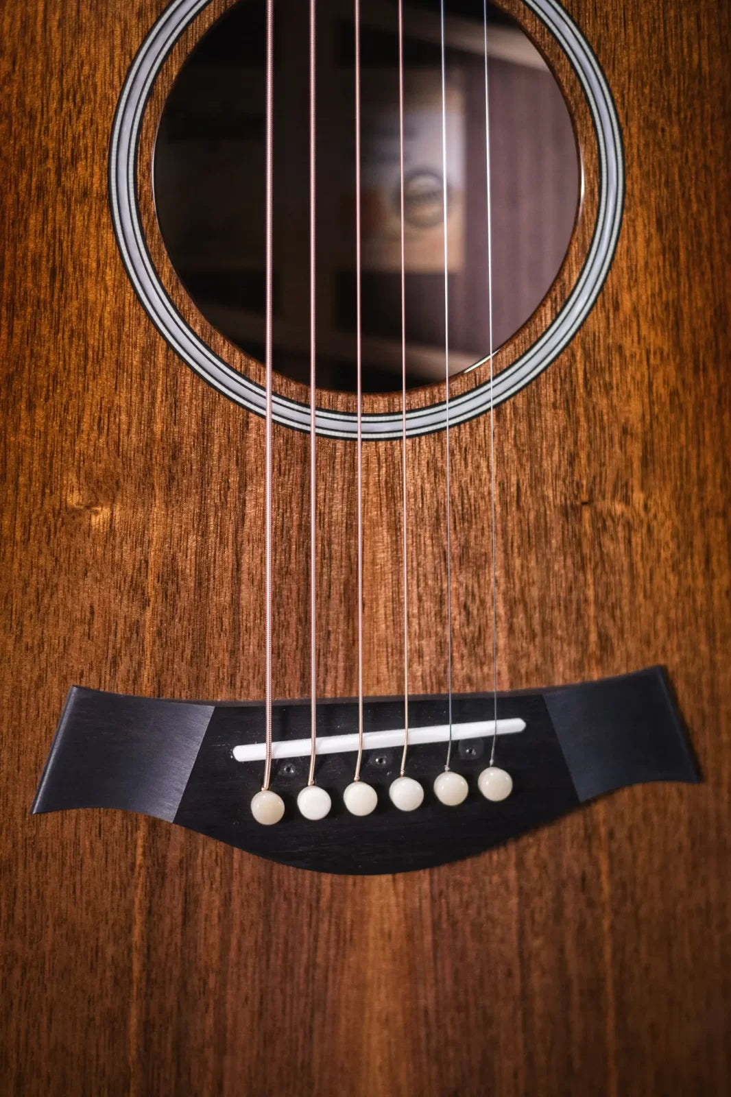 Taylor ‘23 Catch Custom C22e #25 Grand Concert Acoustic/Electric Guitar & Circa 74 Amplifier Combo