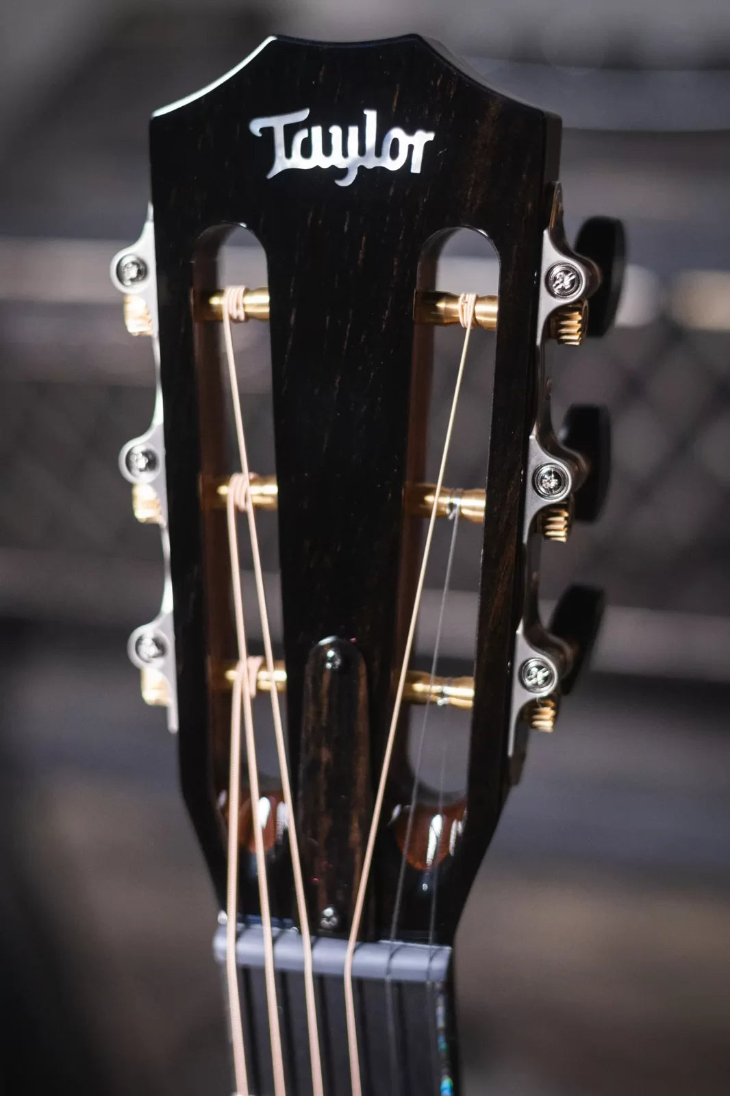 Taylor PS12ce 12-Fret Honduran Rosewood/Sinker Redwood Acoustic Electric Guitar with Deluxe Hardshell Case