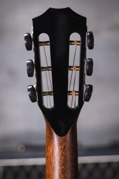 Taylor PS12ce 12-Fret Honduran Rosewood/Sinker Redwood Acoustic Electric Guitar with Deluxe Hardshell Case