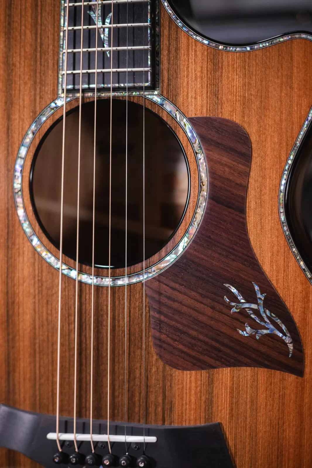 Taylor PS12ce 12-Fret Honduran Rosewood/Sinker Redwood Acoustic Electric Guitar with Deluxe Hardshell Case