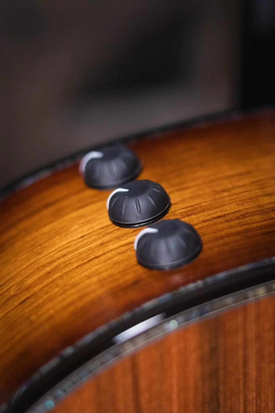 Taylor PS12ce 12-Fret Honduran Rosewood/Sinker Redwood Acoustic Electric Guitar with Deluxe Hardshell Case