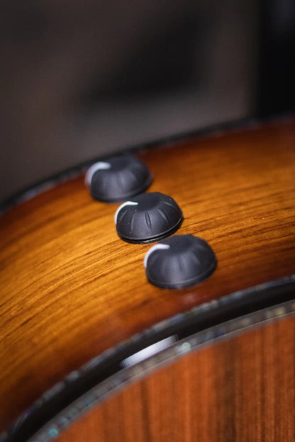 Taylor PS12ce 12-Fret Honduran Rosewood/Sinker Redwood Acoustic Electric Guitar with Deluxe Hardshell Case