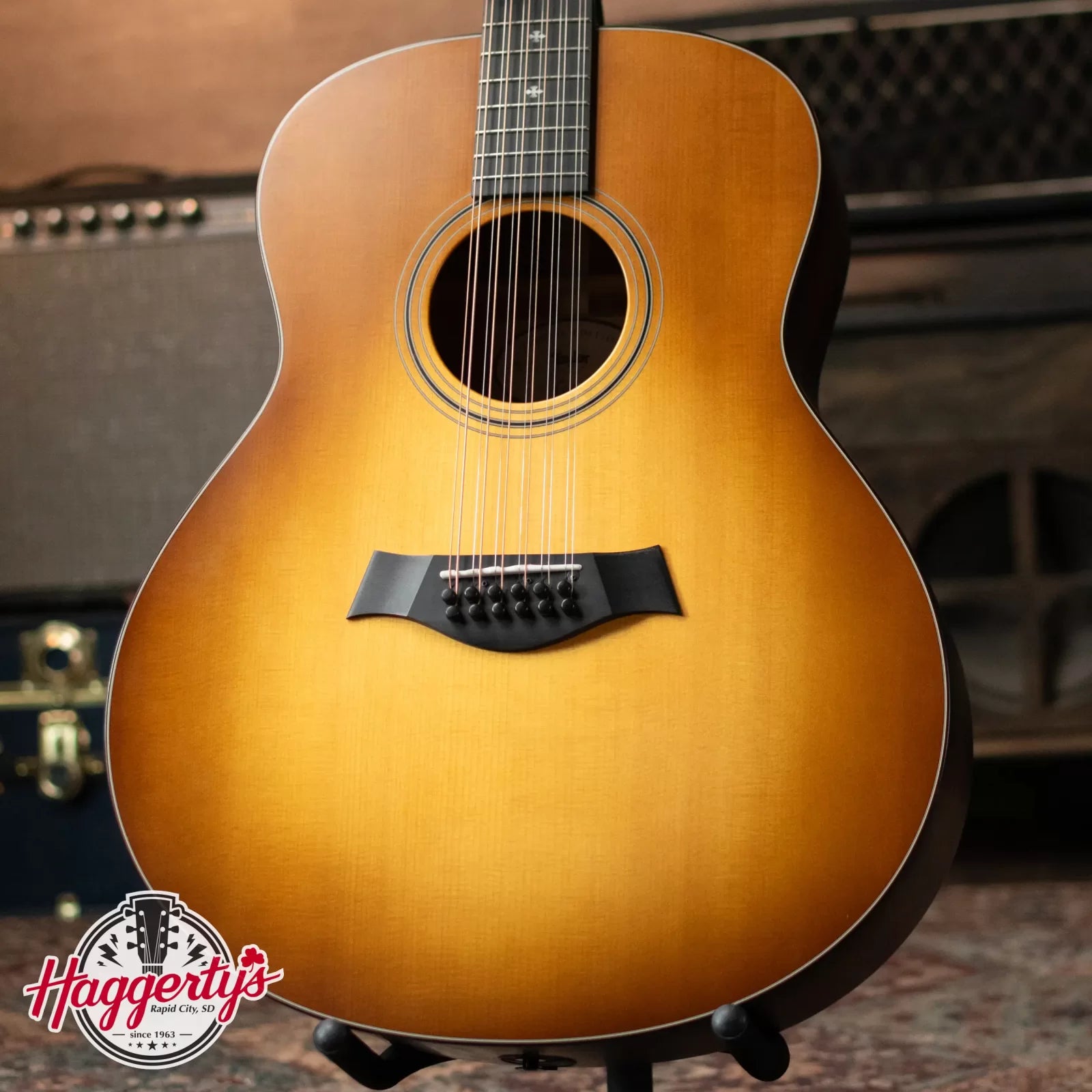 Taylor 358e LTD 12-String Acoustic/Electric with Hardshell Case - Used