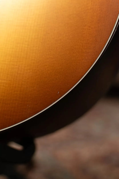 Taylor 358e LTD 12-String Acoustic/Electric with Hardshell Case - Used
