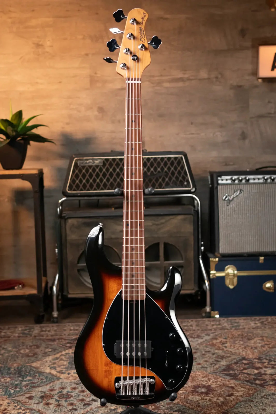 Sterling by Music Man StingRay5 Bass Guitar - Vintage Sunburst - Used