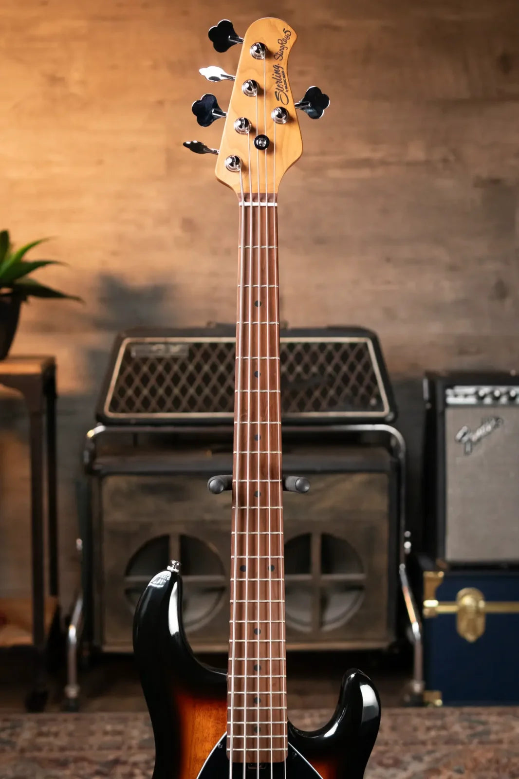 Sterling by Music Man StingRay5 Bass Guitar - Vintage Sunburst - Used